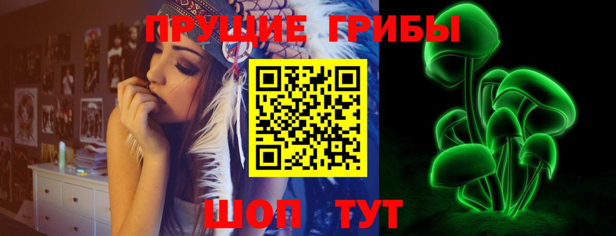 Псилоцибиновые грибы Magic Shrooms  Вход с VPN  Конаково  Псилоцибиновые грибы MAGIC MUSHROOMS 